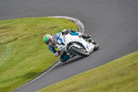 Advanced Group White Bikes